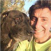 Dicto clases de educación física